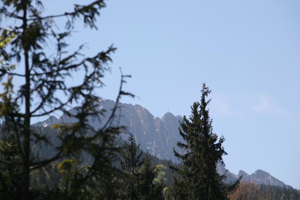 Apartament Glamour I Zakopane Cameră foto